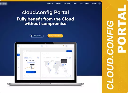 cloud management web portal development