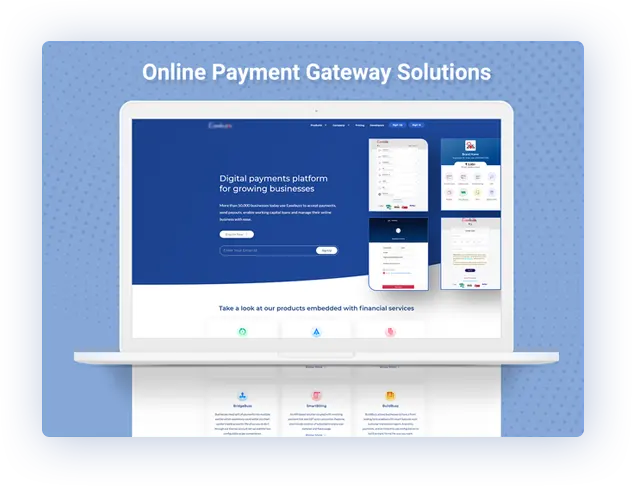 digital payments mobile app development